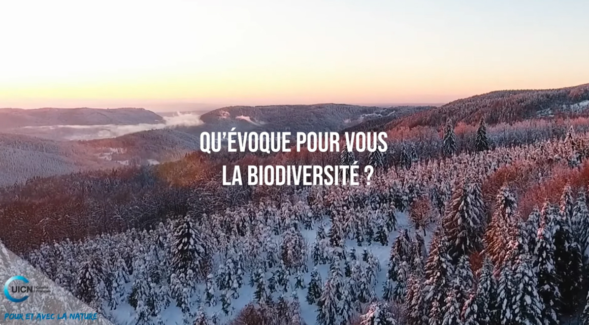 Qu'évoque pour vous la biodiversité ? - Comité français de l'UICN