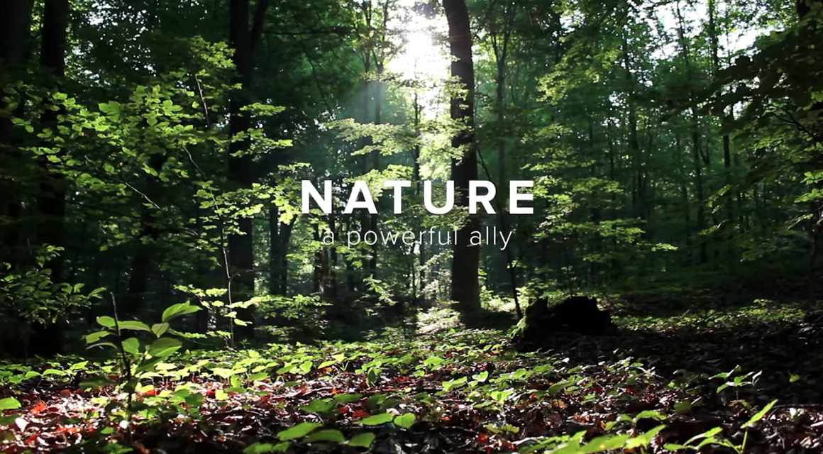 UICN, Porte-voix des solutions fondées sur la nature