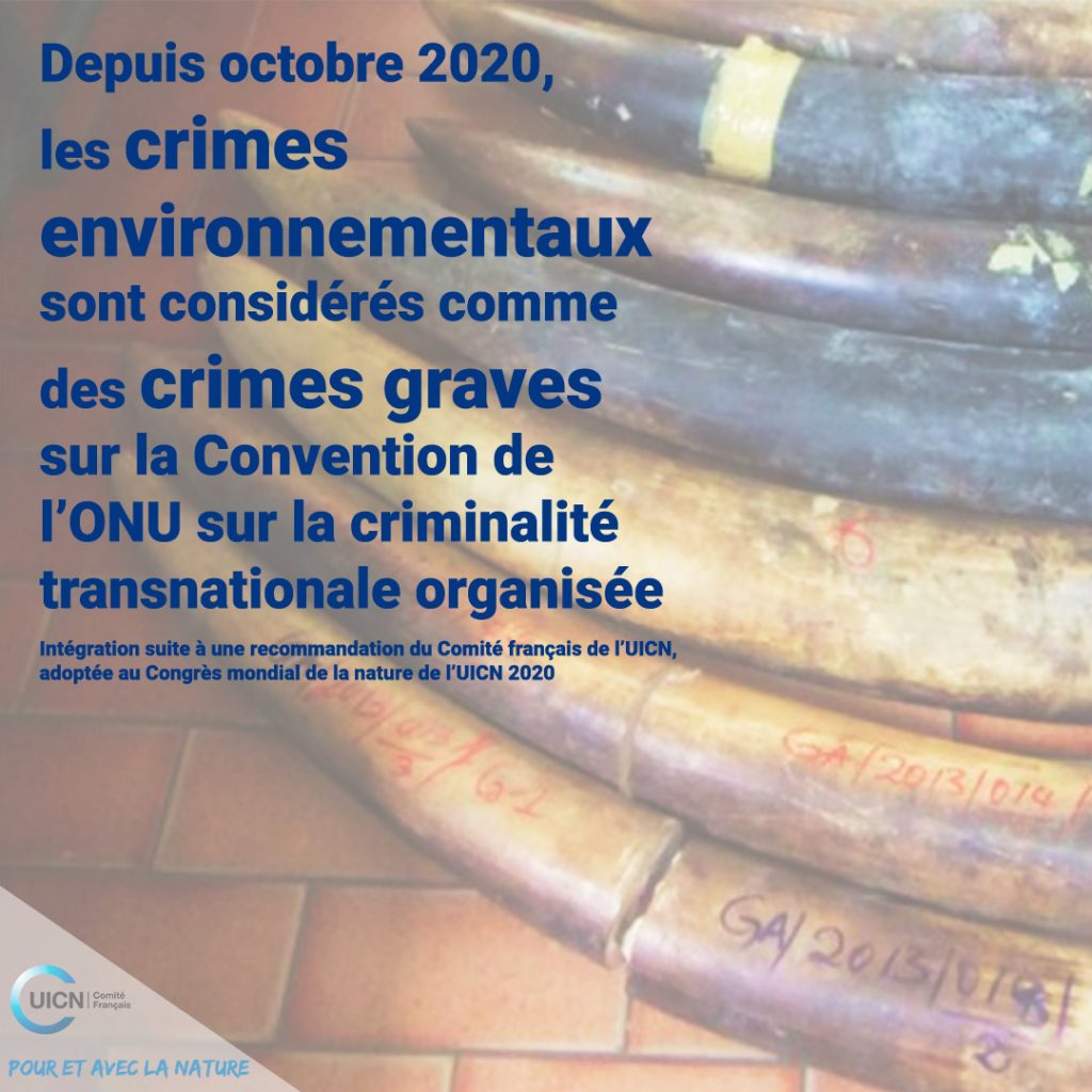bonne-nouvelle-crimes-environnemantaux.jpg