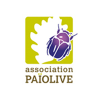 logo-paiolive